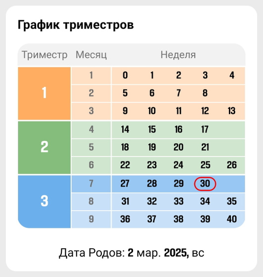 30 недель!!! 🍌🍌🍌