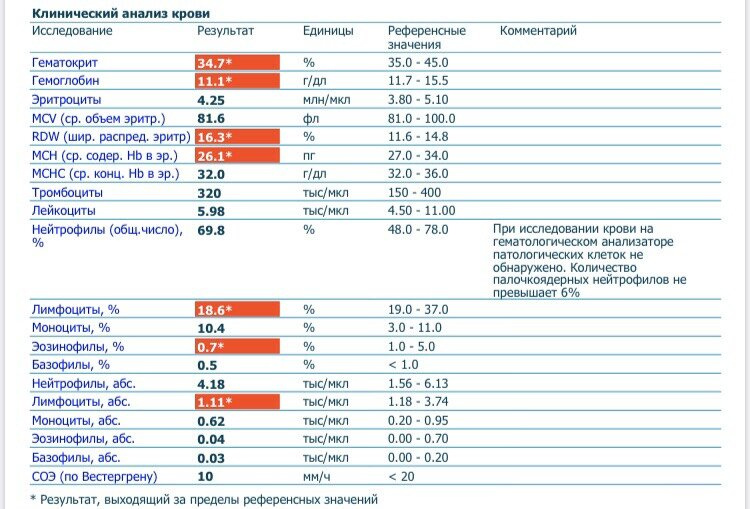 Кто разбирается в анализах крови?