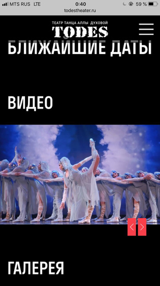 Шоу МЫ балета Тодес
