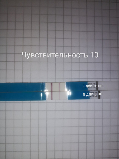 Тесты - это зло