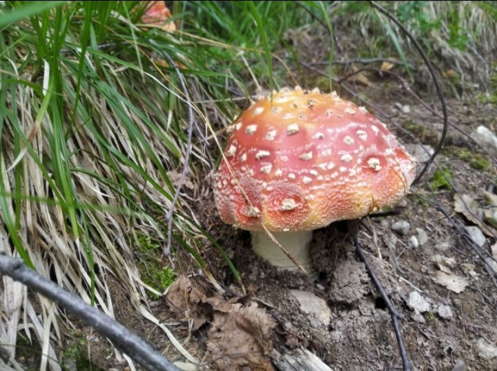 Приехала моя девочка❤️