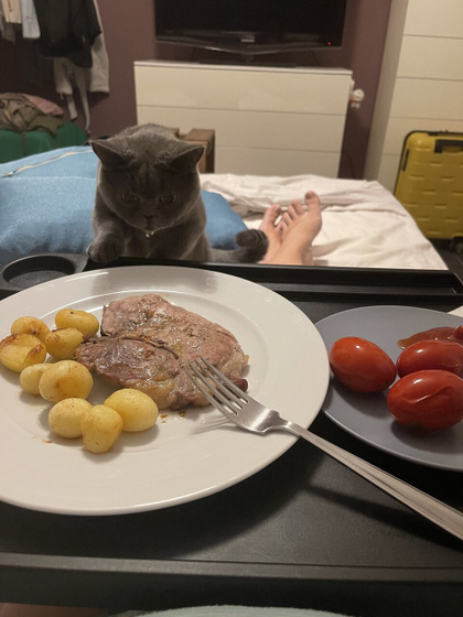 Постельный режим
