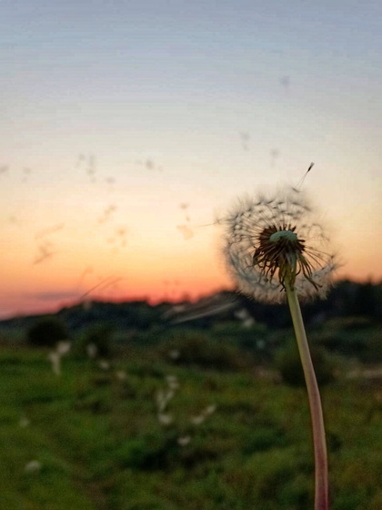 Сегодня один из самых