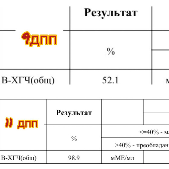 11 дпп