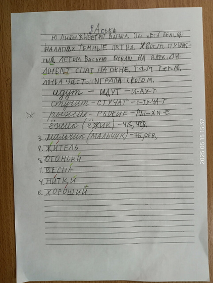 Сдали русский язык. Первый в жизни диктант! ?