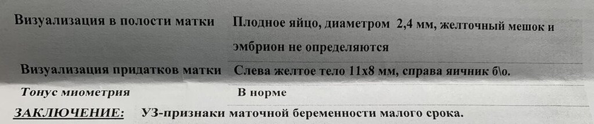 УЗИ
