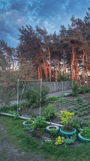 Деревня 🌲🌷🌻