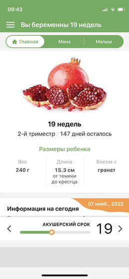 Привет 19 неделя)))