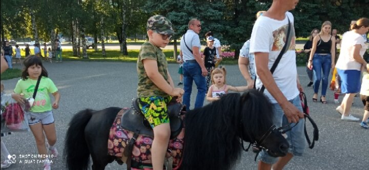 Отличный день, тревожный вечер