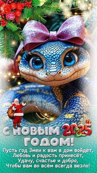 С Новым годом .