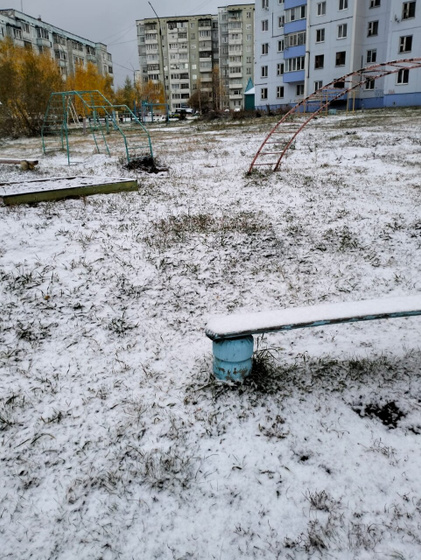 Зима пришла ❄️❄️❄️