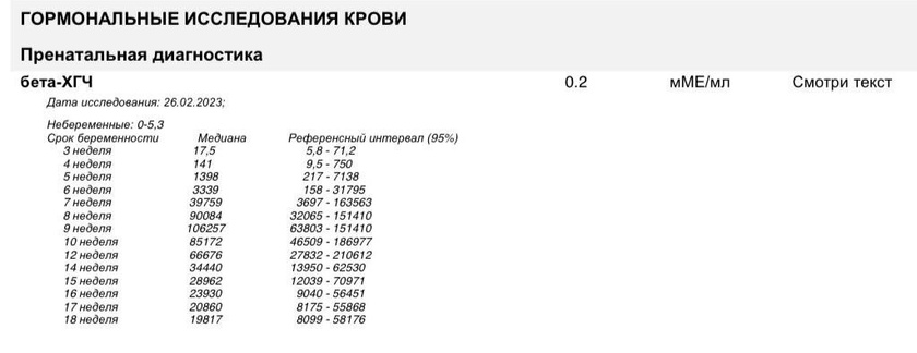 Я вернулась