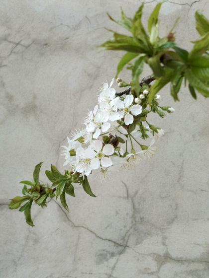 Выходной вайб 🌸😍