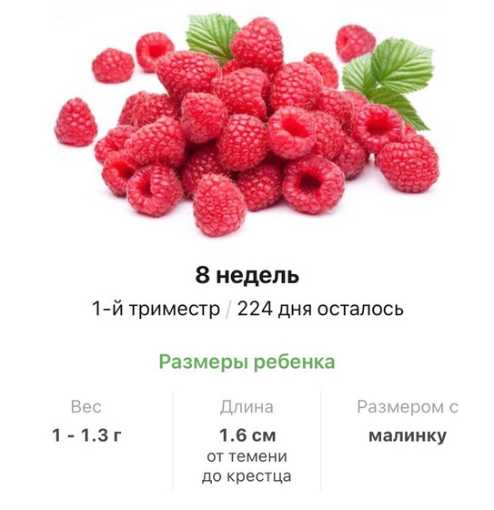 8 недель .