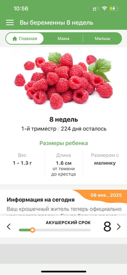 Срок