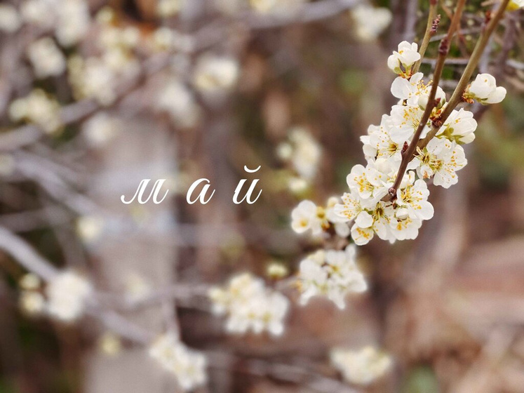 Май.