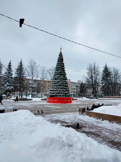 Всем доброй ночи 🌃.