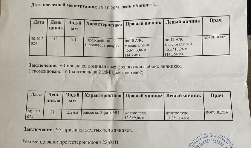 2 небольших желтых тела, возможна ли беременность?