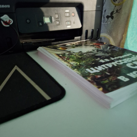 Книги, сочинения на принтере