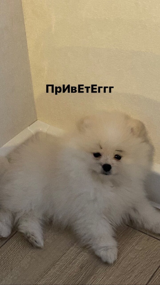 мое возвращение