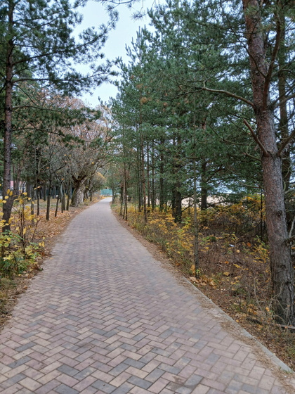 Осенние 🍂 каникулы -2.