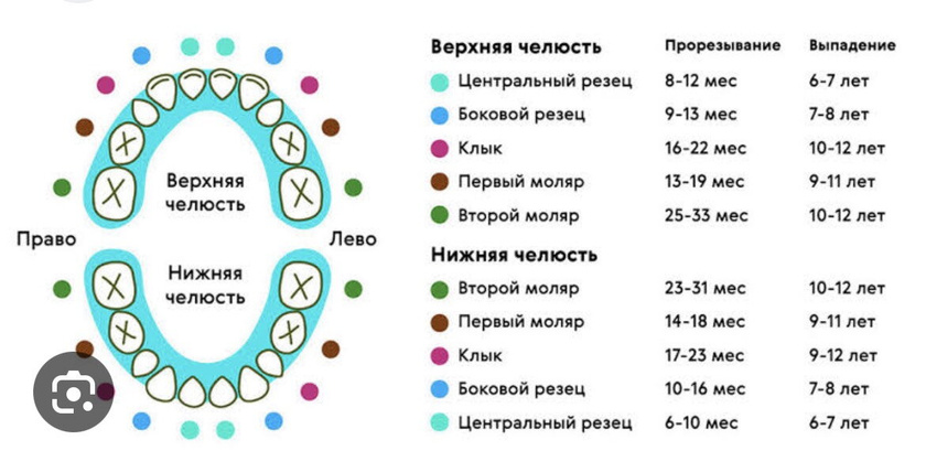 Прорезывание зубов