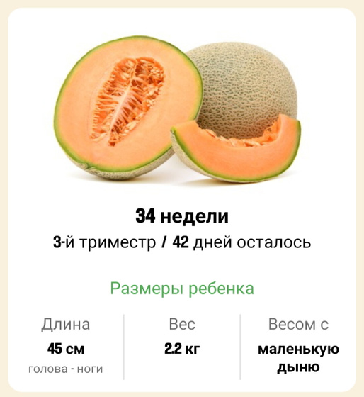 34 недели. 🍈🍈🍈