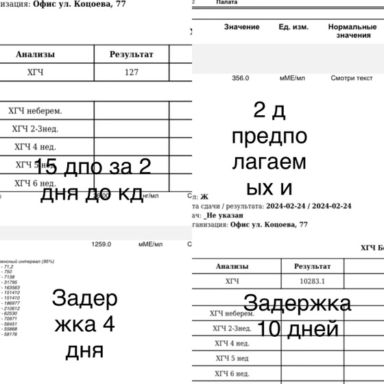 Делюсь