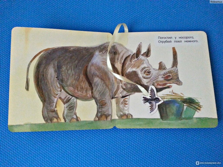 Любимая книжка?