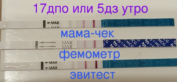 Сегодня 20дпо?Доброе утро??? Вчера