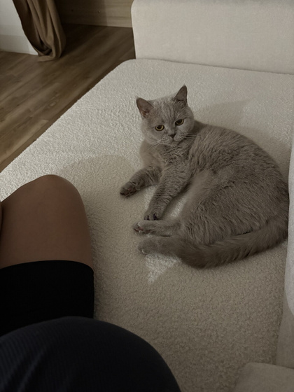 Лежим с моей🐱 все