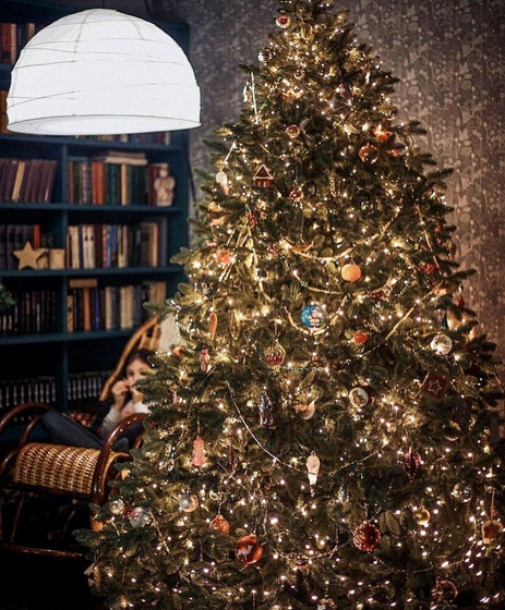 Искусственная или живая 🎄 ?))