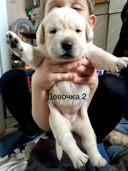 Детки подрастают)