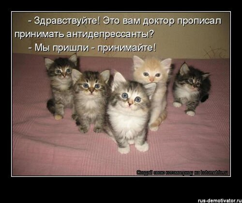Мне пора к психотерапевту?