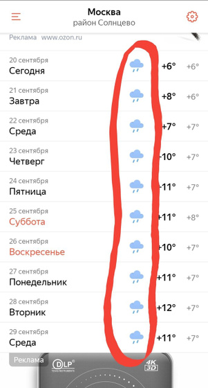 Каждую осень и зиму - я их ненавижу 😡