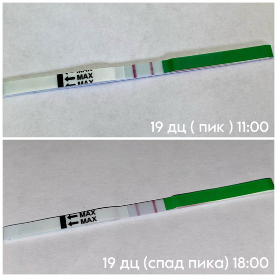 1️⃣9️⃣дц ( 1️⃣8️⃣:0️⃣0️⃣ )