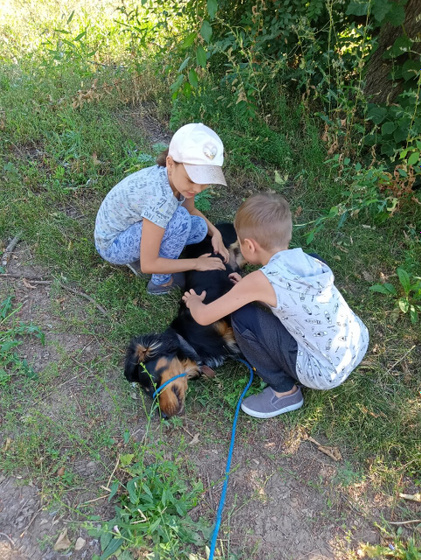 Тема собак!Поймут