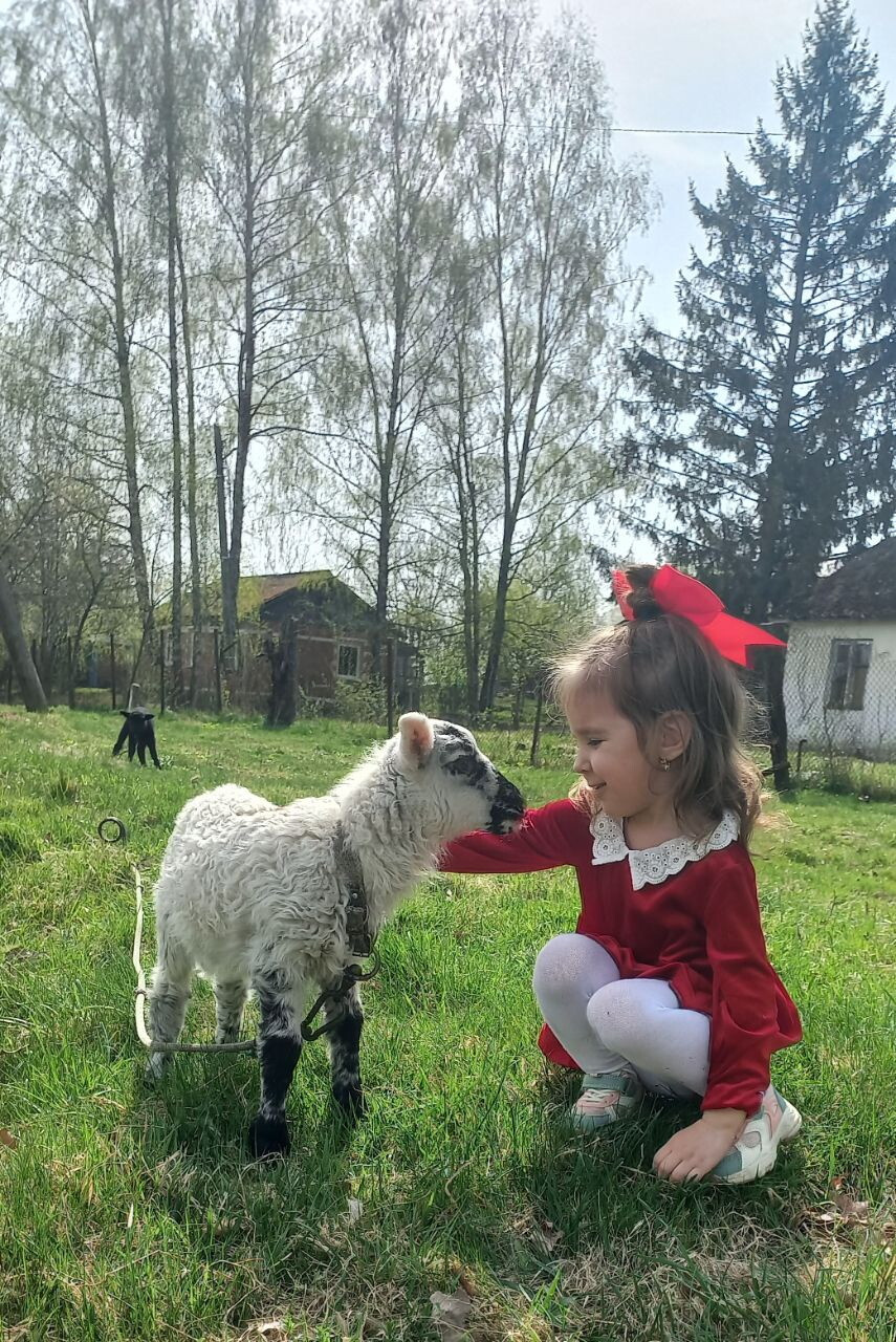 Братец Иванушка