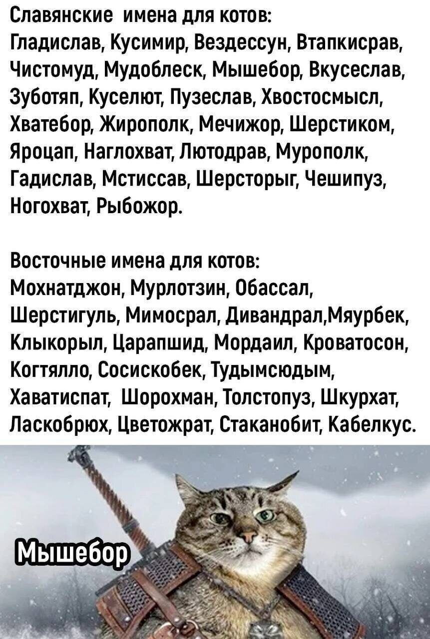 Гладислав, Мурополк, Рыбожор или Чешипуз - какого имени заслуживает ваш питомец?