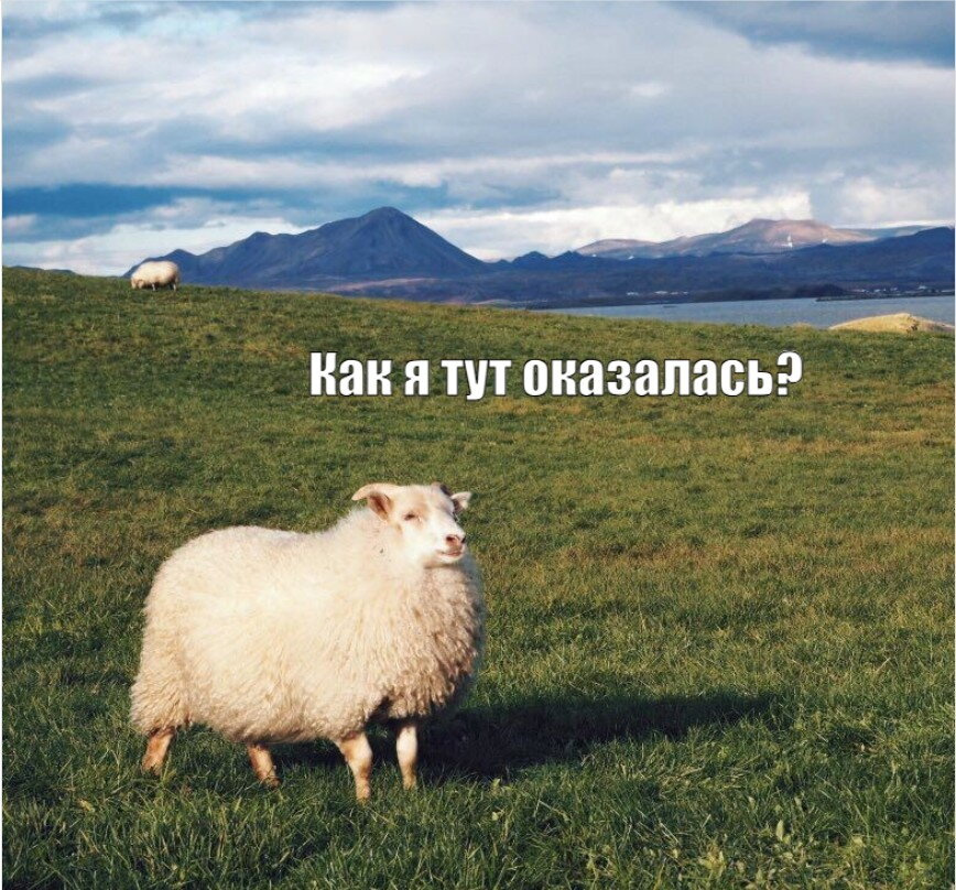 Как вы тут оказались?