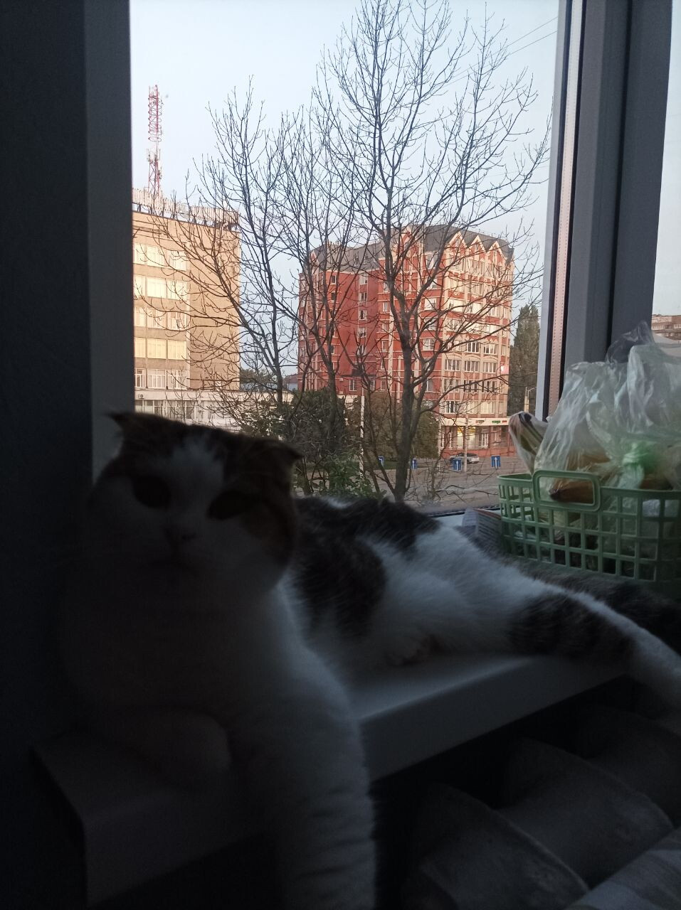 Ночка