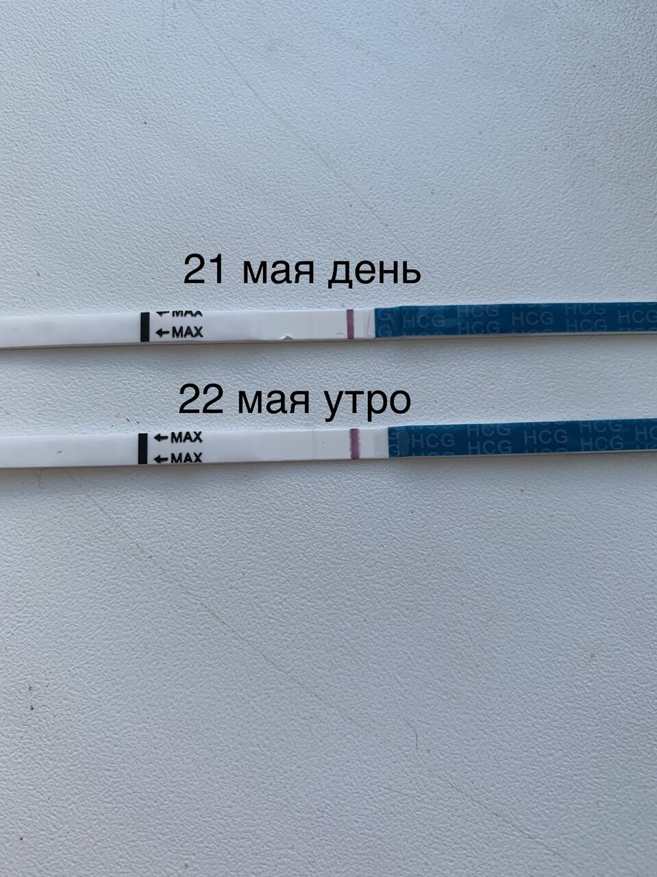 Динамика за 1 день