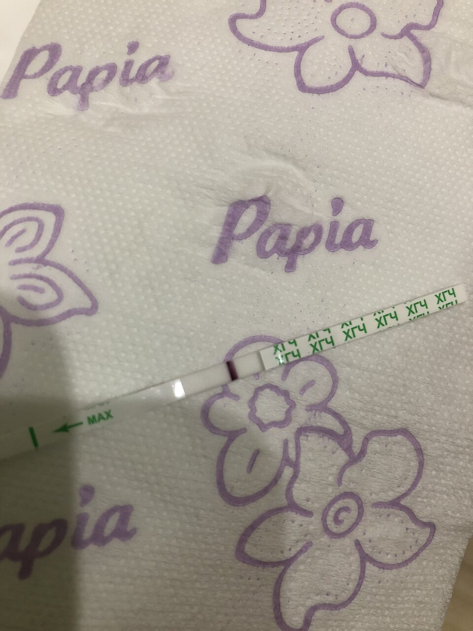5дпо