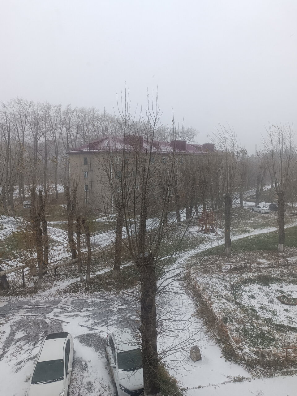 Снежок