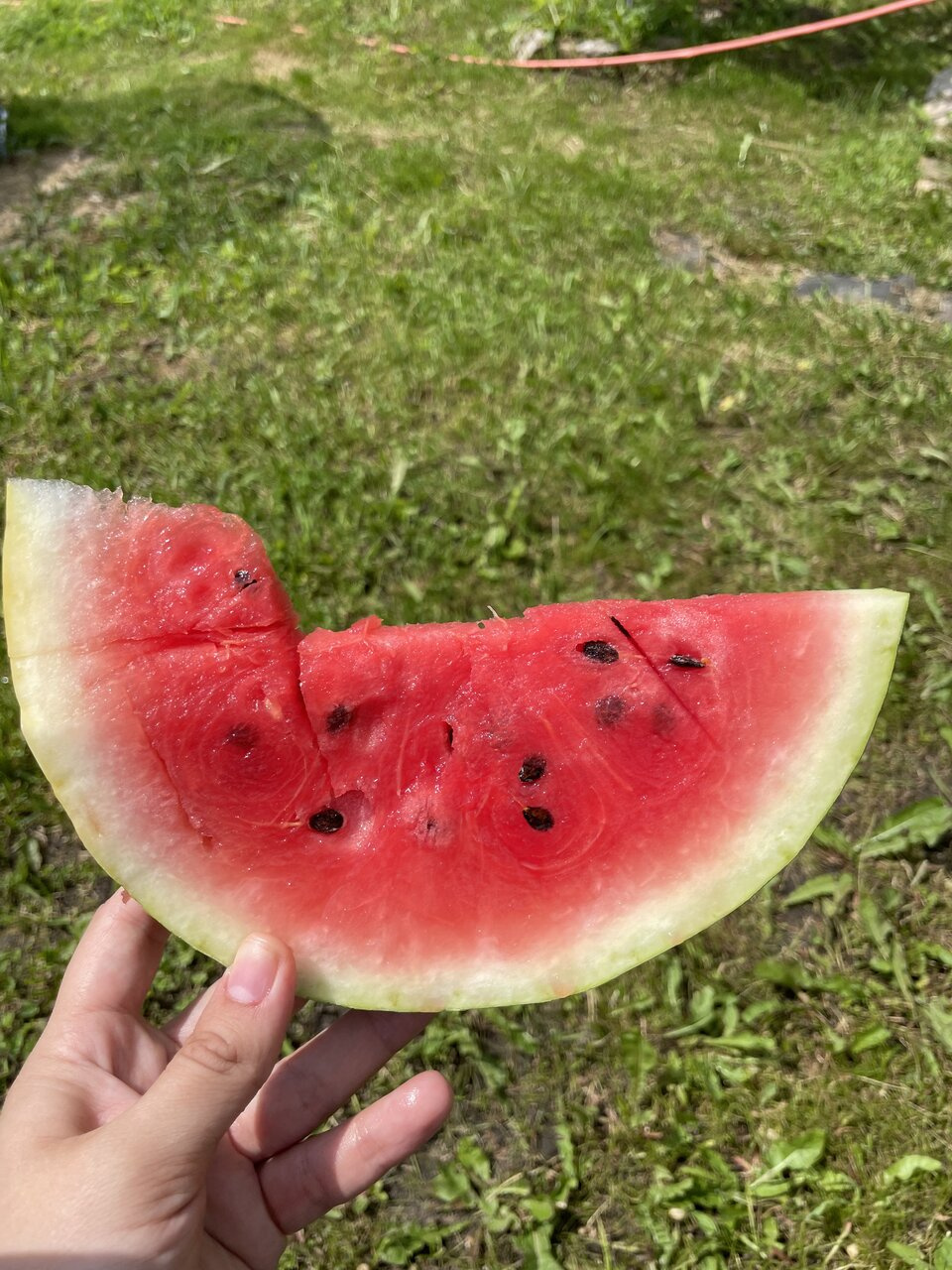 Наши 15 неделек ❤️