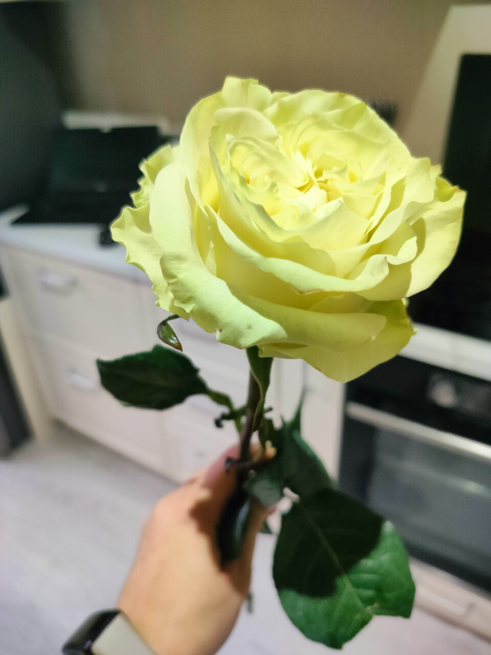 А просто захотелось 🌹😍