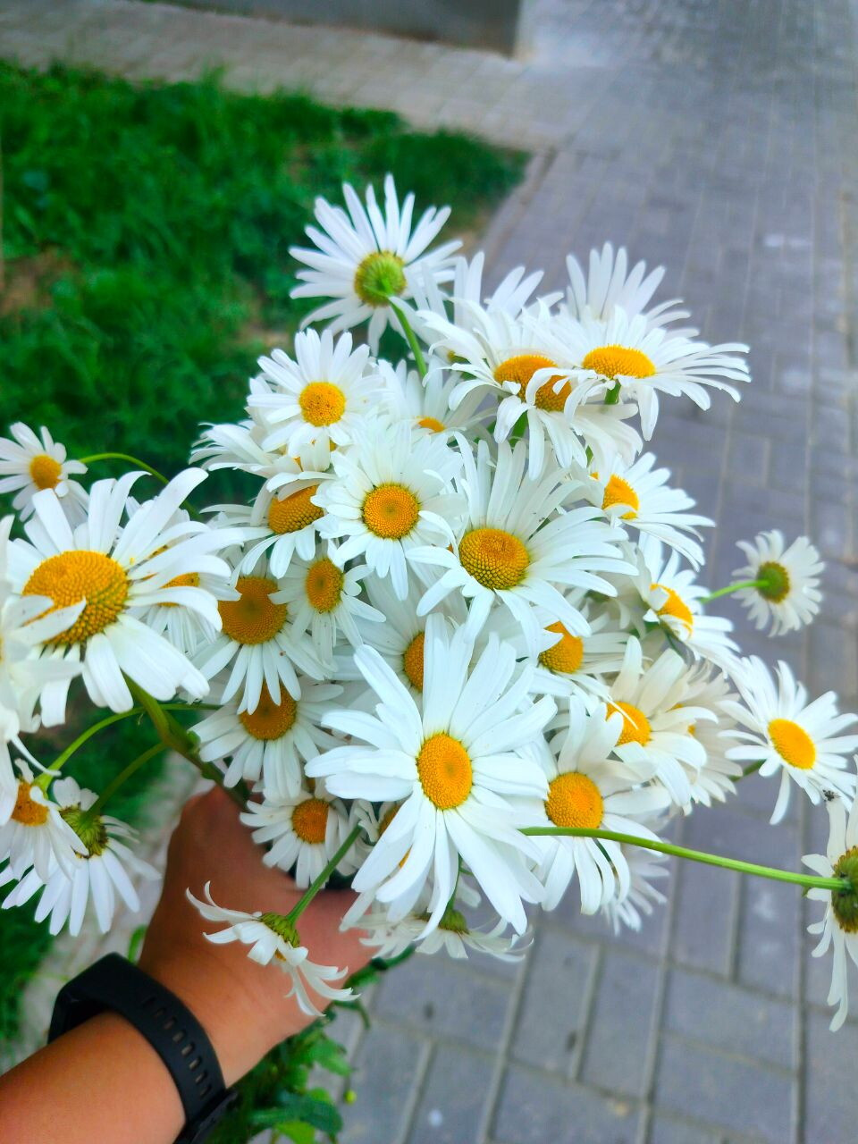 Ну и наш день любви, семьи и верности