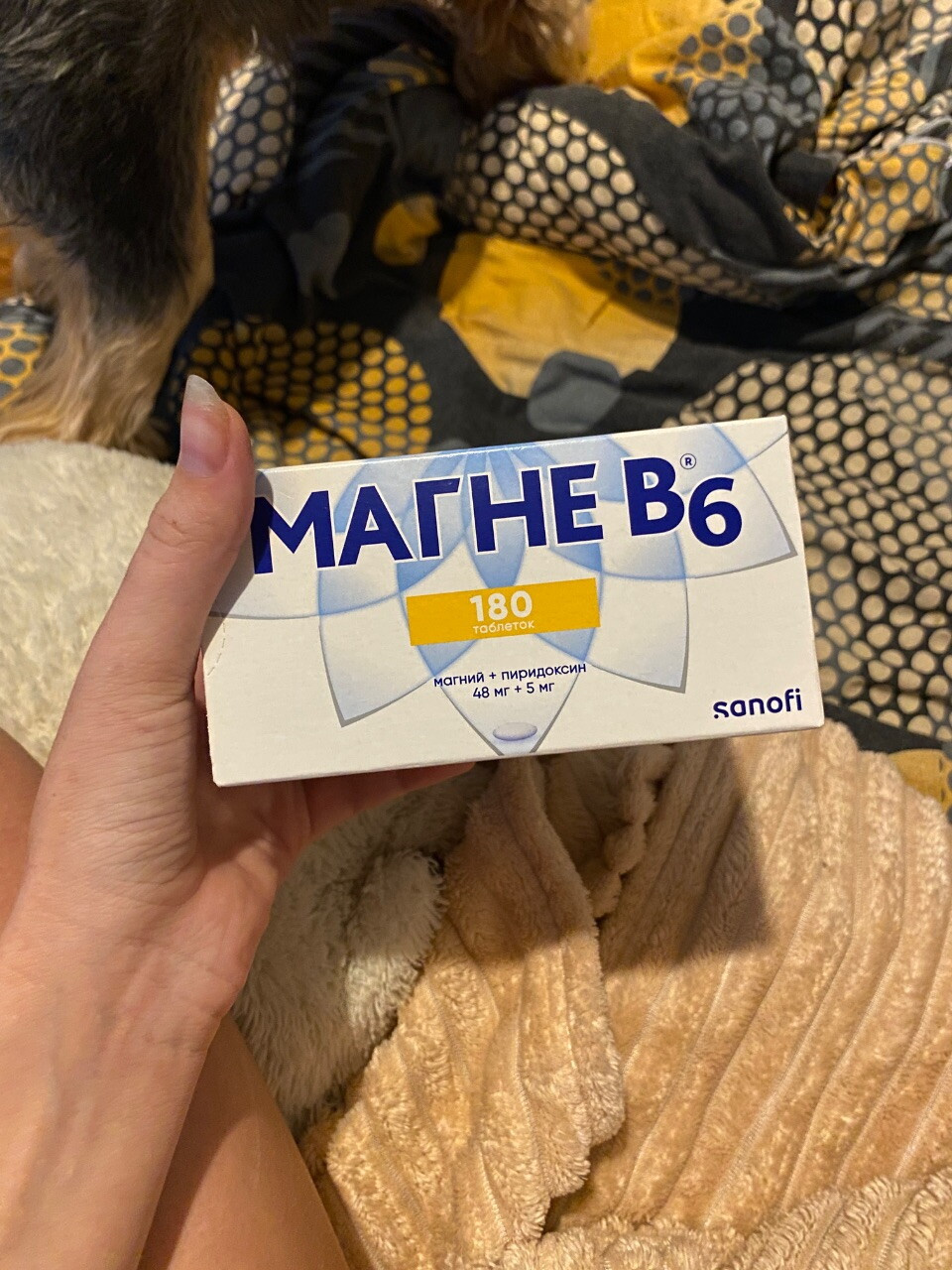 магнеб6