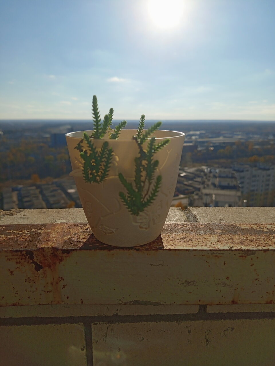 Цветок