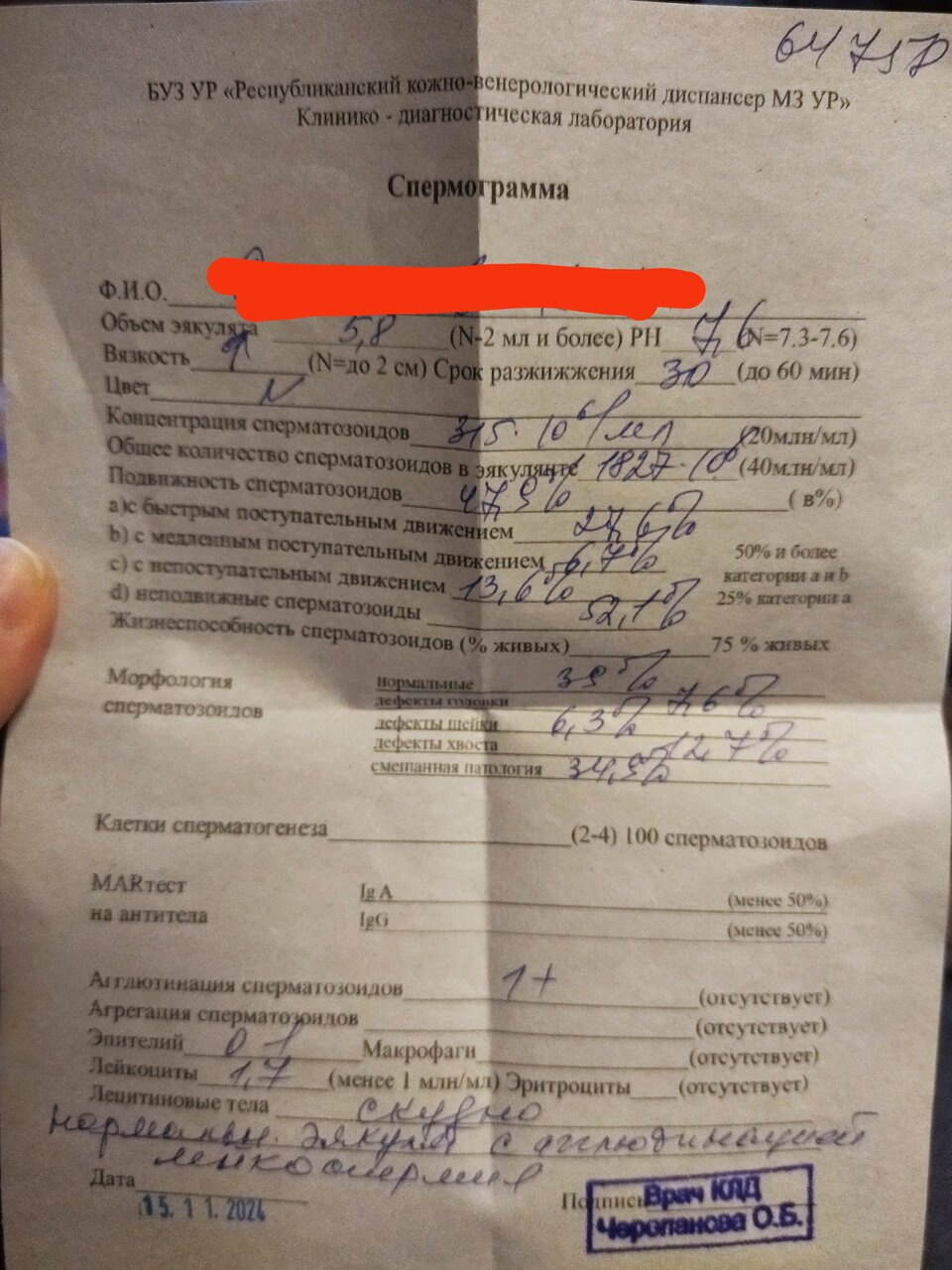 Спермограмма результат. Кто делал?